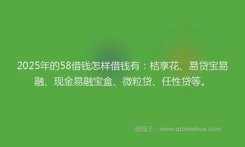 2025年的58借钱怎样借钱有：桔享花、易贷宝易融、现金易融宝盒、微粒贷、任性贷等。