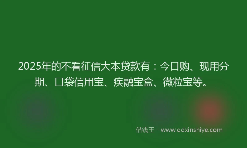 2025年的不看征信大本贷款有：今日购、现用分期、口袋信用宝、疾融宝盒、微粒宝等。