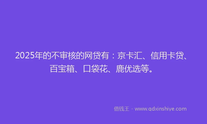 2025年的不审核的网贷有：京卡汇、信用卡贷、百宝箱、口袋花、鹿优选等。