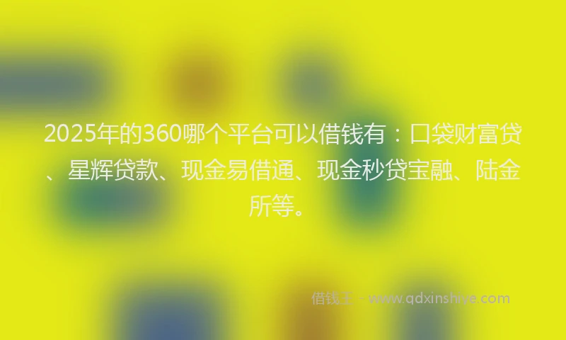 2025年的360哪个平台可以借钱有：口袋财富贷、星辉贷款、现金易借通、现金秒贷宝融、陆金所等。