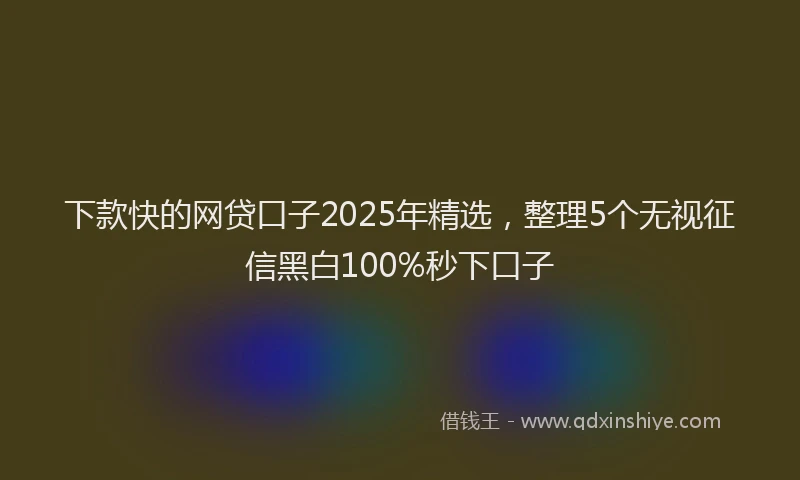 下款快的网贷口子2025年精选，整理5个无视征信黑白100%秒下口子