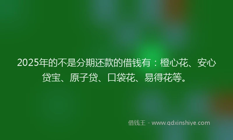 2025年的不是分期还款的借钱有：橙心花、安心贷宝、原子贷、口袋花、易得花等。