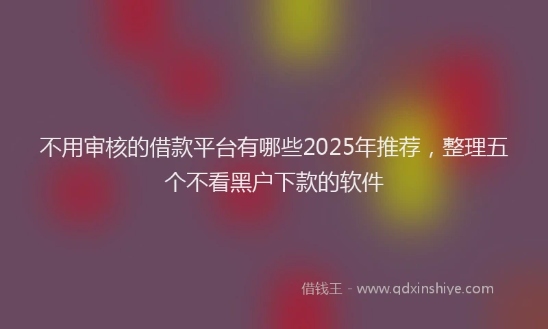 不用审核的借款平台有哪些2025年推荐，整理五个不看黑户下款的软件
