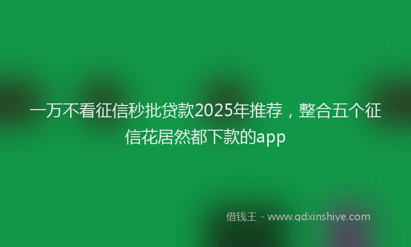 一万不看征信秒批贷款2025年推荐，整合五个征信花居然都下款的app