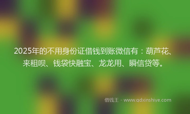 2025年的不用身份证借钱到账微信有：葫芦花、来租呗、钱袋快融宝、龙龙用、瞬信贷等。