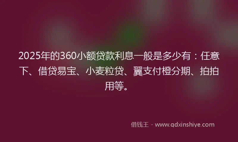 2025年的360小额贷款利息一般是多少有：任意下、借贷易宝、小麦粒贷、翼支付橙分期、拍拍用等。