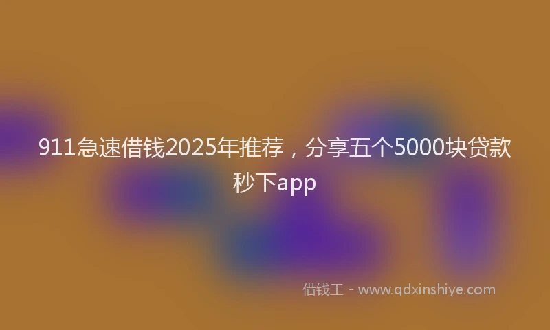 911急速借钱2025年推荐，分享五个5000块贷款秒下app