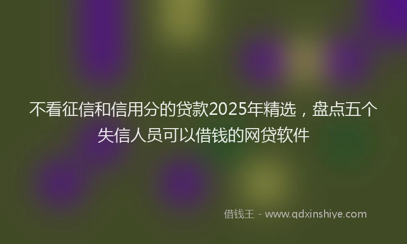 不看征信和信用分的贷款2025年精选，盘点五个失信人员可以借钱的网贷软件