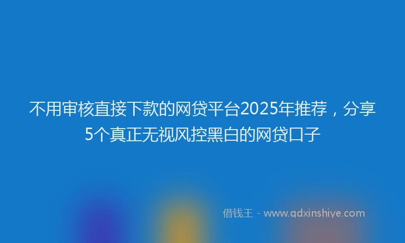 不用审核直接下款的网贷平台2025年推荐，分享5个真正无视风控黑白的网贷口子