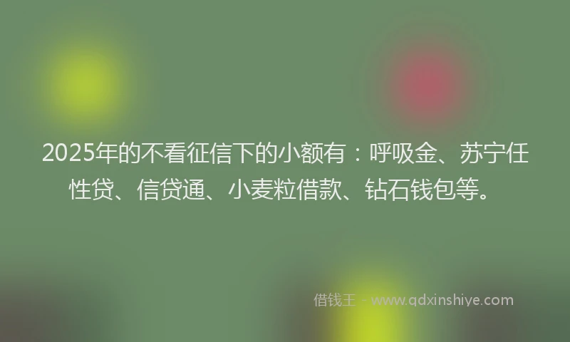 2025年的不看征信下的小额有：呼吸金、苏宁任性贷、信贷通、小麦粒借款、钻石钱包等。