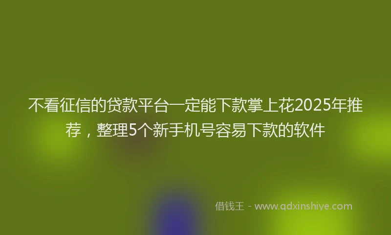 不看征信的贷款平台一定能下款掌上花2025年推荐，整理5个新手机号容易下款的软件