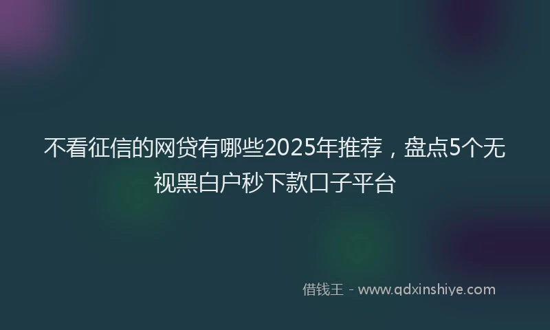不看征信的网贷有哪些2025年推荐，盘点5个无视黑白户秒下款口子平台