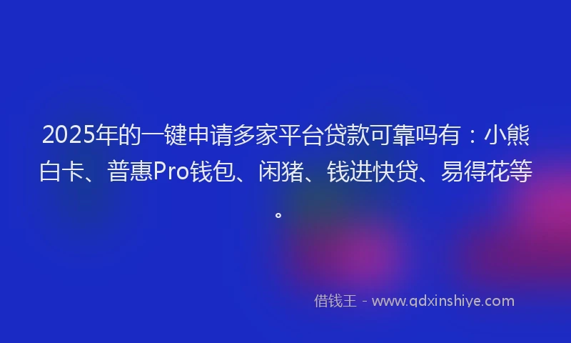 2025年的一键申请多家平台贷款可靠吗有：小熊白卡、普惠Pro钱包、闲猪、钱进快贷、易得花等。