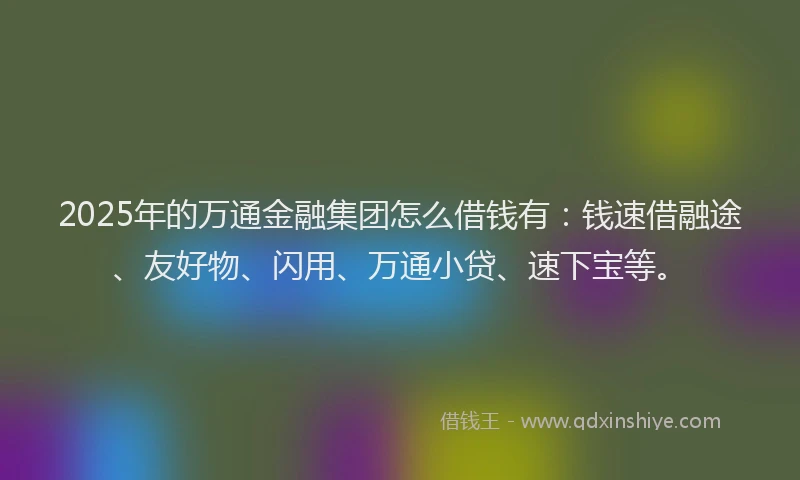 2025年的万通金融集团怎么借钱有：钱速借融途、友好物、闪用、万通小贷、速下宝等。