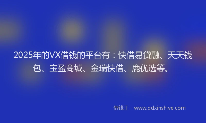 2025年的VX借钱的平台有：快借易贷融、天天钱包、宝盈商城、金瑞快借、鹿优选等。