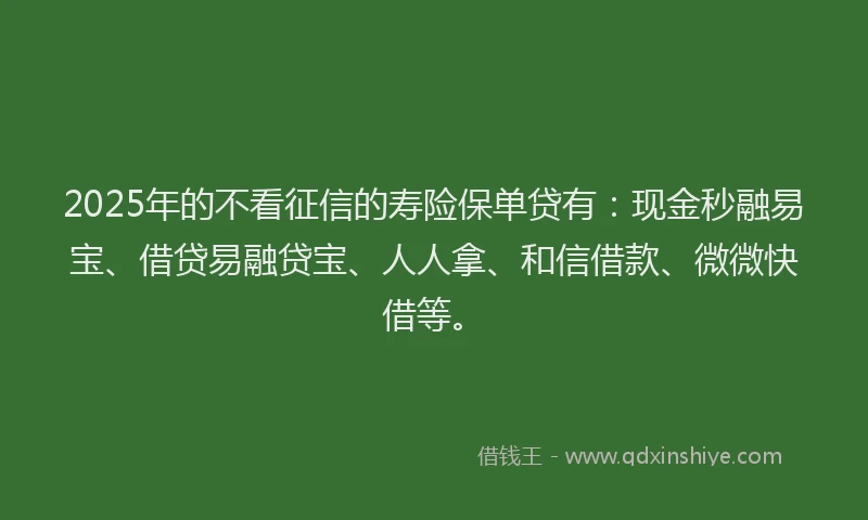 2025年的不看征信的寿险保单贷有：现金秒融易宝、借贷易融贷宝、人人拿、和信借款、微微快借等。