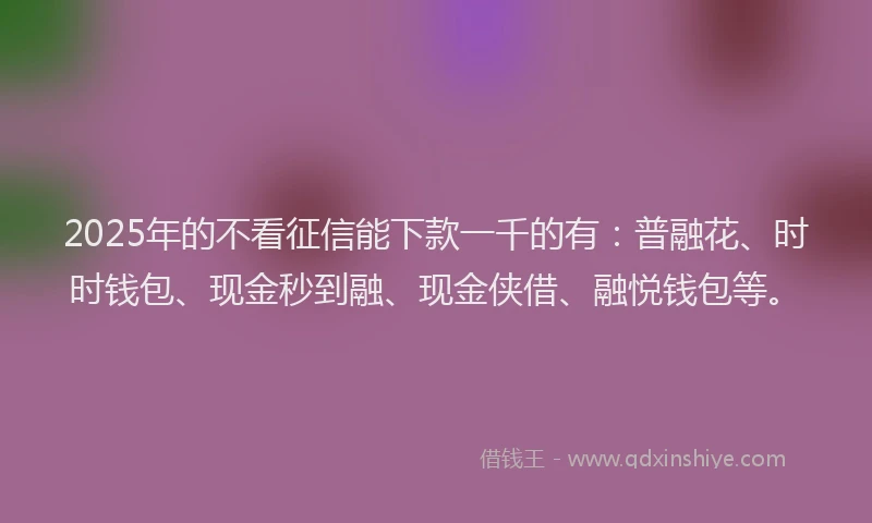 2025年的不看征信能下款一千的有：普融花、时时钱包、现金秒到融、现金侠借、融悦钱包等。