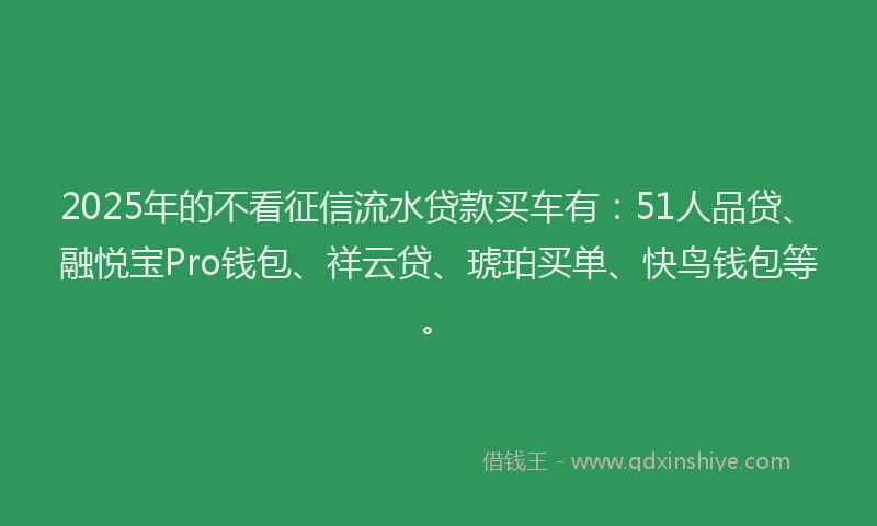 2025年的不看征信流水贷款买车有：51人品贷、融悦宝Pro钱包、祥云贷、琥珀买单、快鸟钱包等。
