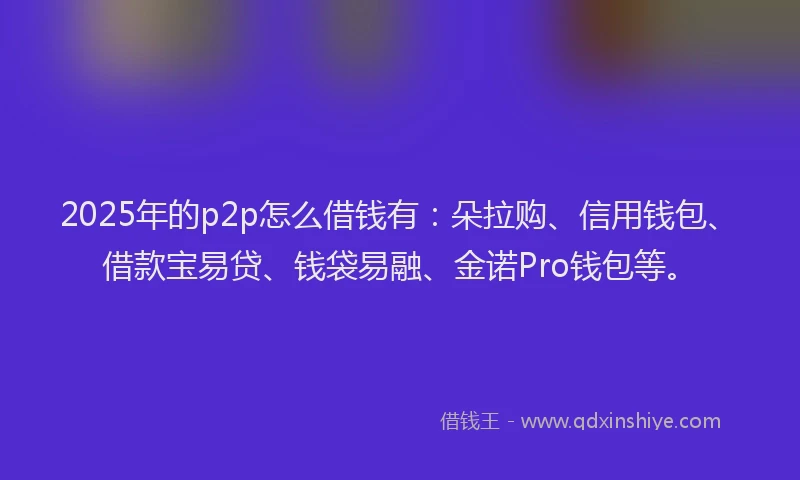 2025年的p2p怎么借钱有：朵拉购、信用钱包、借款宝易贷、钱袋易融、金诺Pro钱包等。