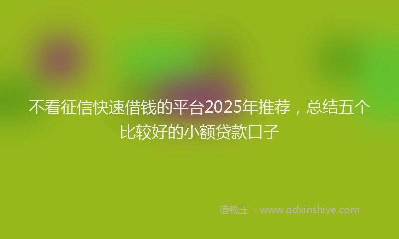 不看征信快速借钱的平台2025年推荐，总结五个比较好的小额贷款口子