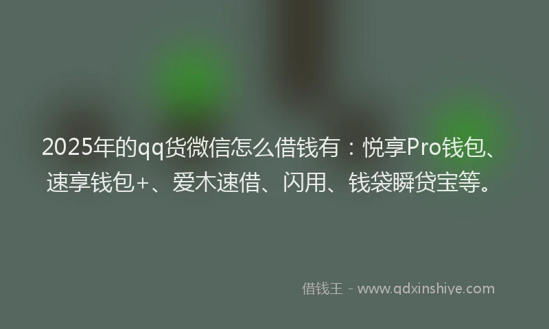 2025年的qq货微信怎么借钱有：悦享Pro钱包、速享钱包+、爱木速借、闪用、钱袋瞬贷宝等。