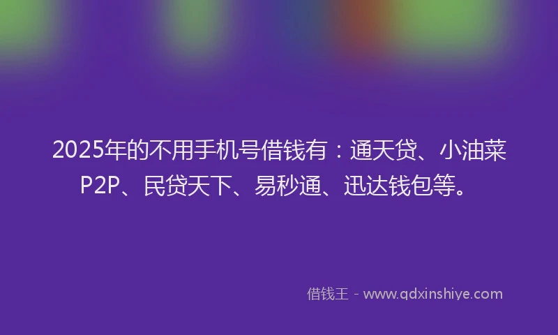 2025年的不用手机号借钱有：通天贷、小油菜P2P、民贷天下、易秒通、迅达钱包等。