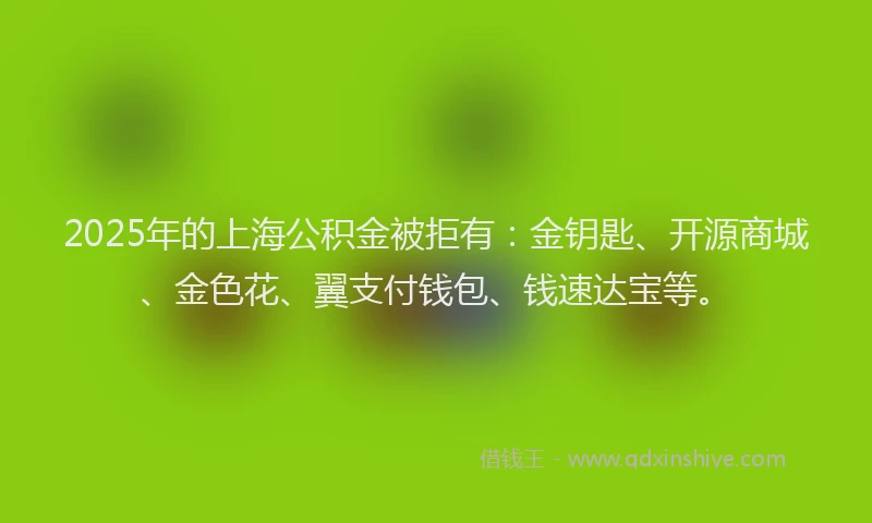 2025年的上海公积金被拒有：金钥匙、开源商城、金色花、翼支付钱包、钱速达宝等。