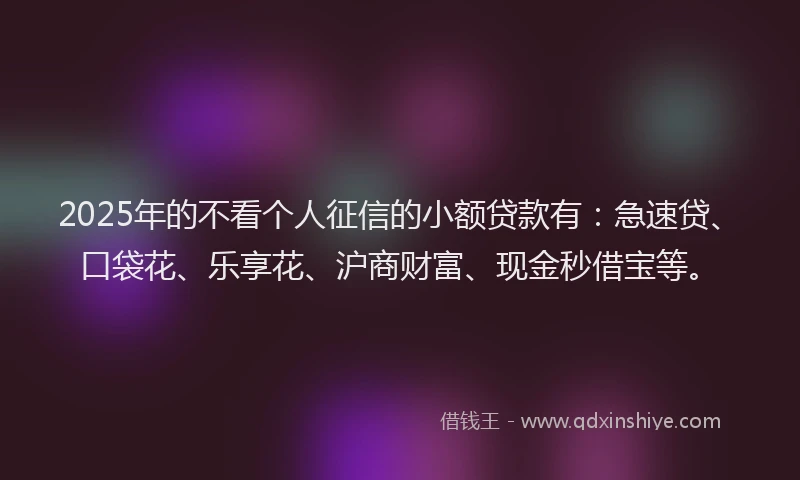 2025年的不看个人征信的小额贷款有：急速贷、口袋花、乐享花、沪商财富、现金秒借宝等。