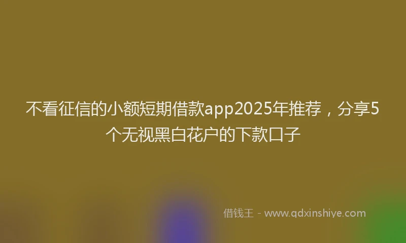 不看征信的小额短期借款app2025年推荐，分享5个无视黑白花户的下款口子