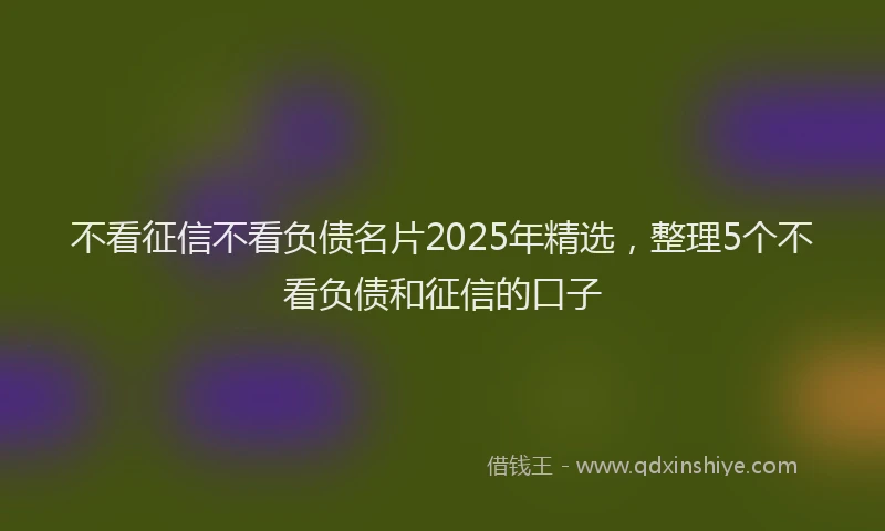不看征信不看负债名片2025年精选，整理5个不看负债和征信的口子