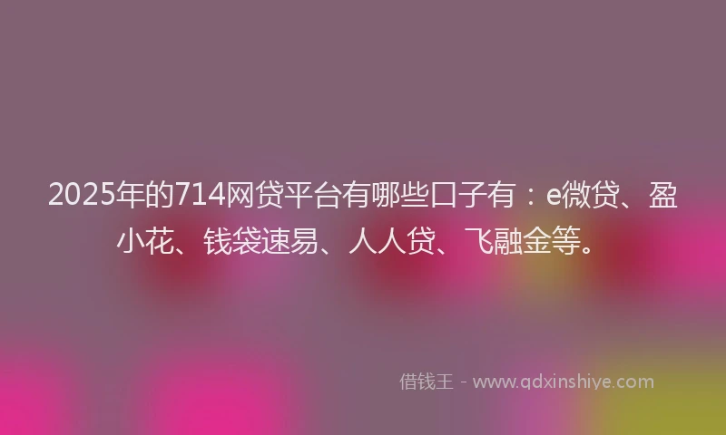 2025年的714网贷平台有哪些口子有：e微贷、盈小花、钱袋速易、人人贷、飞融金等。