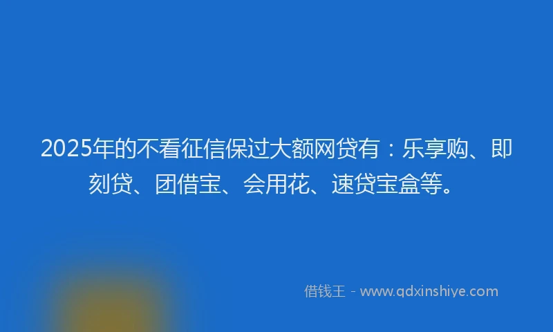 2025年的不看征信保过大额网贷有：乐享购、即刻贷、团借宝、会用花、速贷宝盒等。
