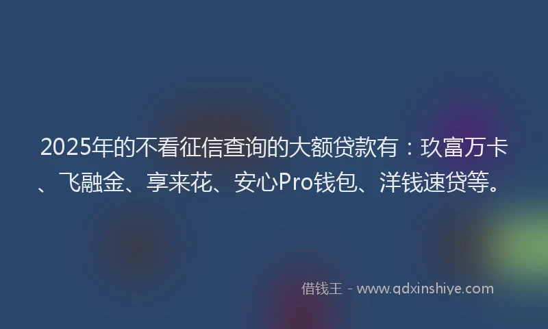 2025年的不看征信查询的大额贷款有：玖富万卡、飞融金、享来花、安心Pro钱包、洋钱速贷等。