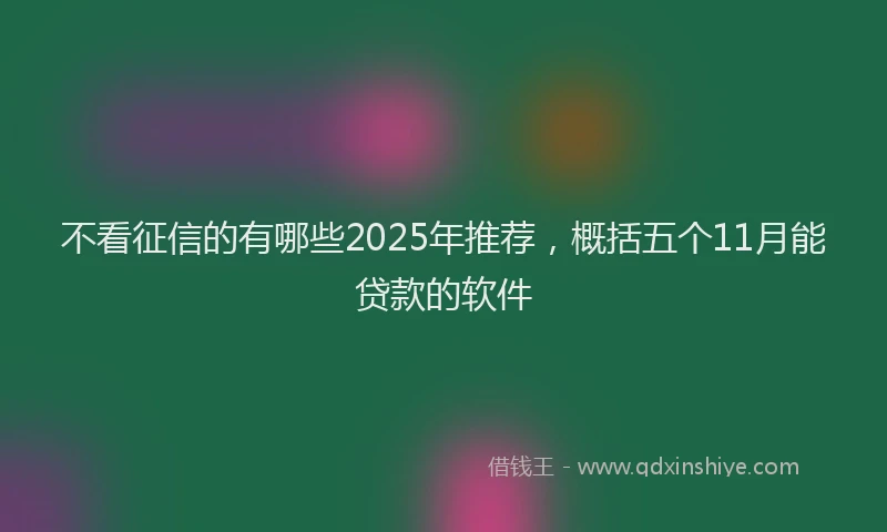 不看征信的有哪些2025年推荐，概括五个11月能贷款的软件