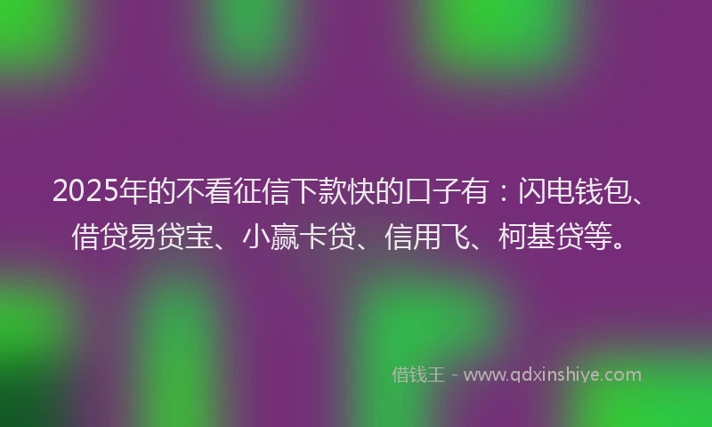 2025年的不看征信下款快的口子有：闪电钱包、借贷易贷宝、小赢卡贷、信用飞、柯基贷等。