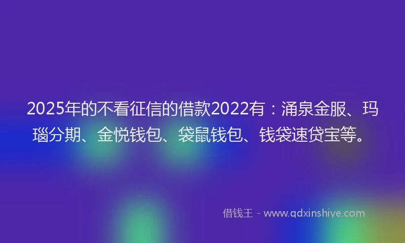 2025年的不看征信的借款2022有：涌泉金服、玛瑙分期、金悦钱包、袋鼠钱包、钱袋速贷宝等。