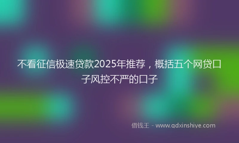 不看征信极速贷款2025年推荐，概括五个网贷口子风控不严的口子