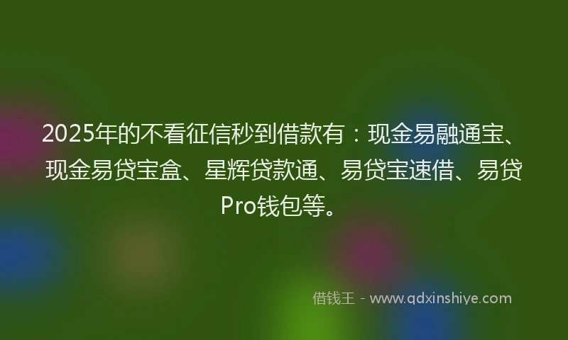 2025年的不看征信秒到借款有：现金易融通宝、现金易贷宝盒、星辉贷款通、易贷宝速借、易贷Pro钱包等。