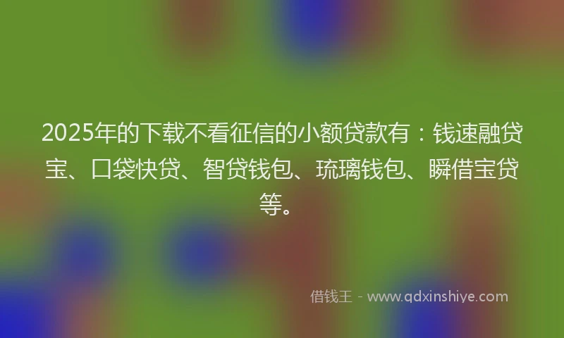 2025年的下载不看征信的小额贷款有：钱速融贷宝、口袋快贷、智贷钱包、琉璃钱包、瞬借宝贷等。