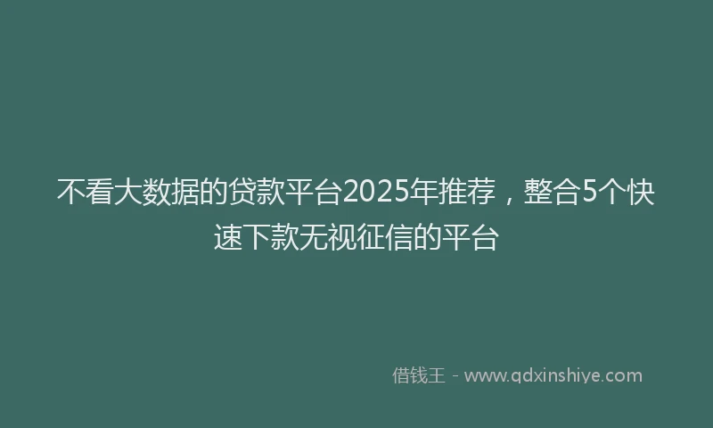 不看大数据的贷款平台2025年推荐，整合5个快速下款无视征信的平台