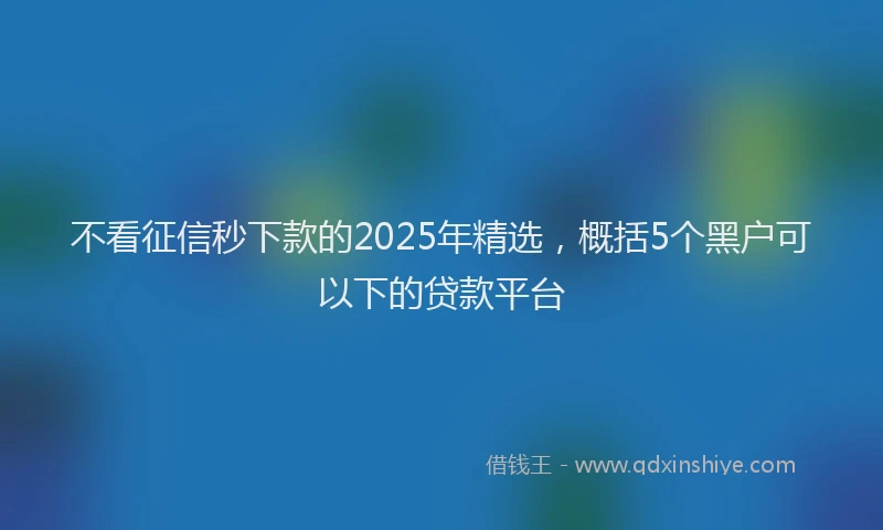 不看征信秒下款的2025年精选，概括5个黑户可以下的贷款平台
