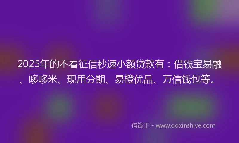 2025年的不看征信秒速小额贷款有：借钱宝易融、哆哆米、现用分期、易橙优品、万信钱包等。