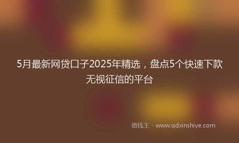 5月最新网贷口子2025年精选，盘点5个快速下款无视征信的平台