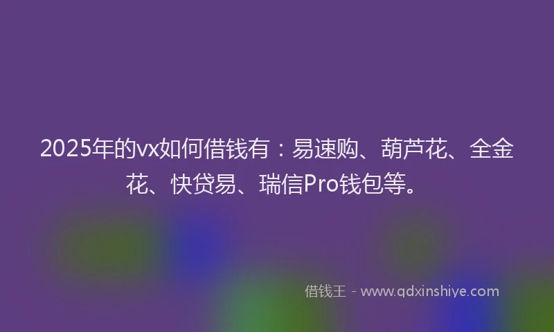 2025年的vx如何借钱有：易速购、葫芦花、全金花、快贷易、瑞信Pro钱包等。