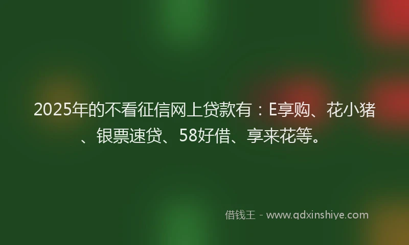 2025年的不看征信网上贷款有：E享购、花小猪、银票速贷、58好借、享来花等。
