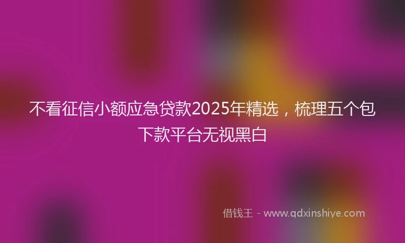 不看征信小额应急贷款2025年精选，梳理五个包下款平台无视黑白