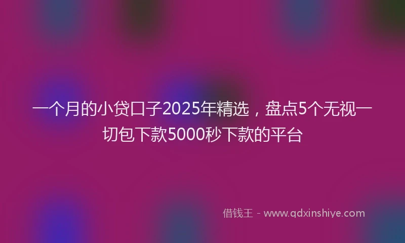 一个月的小贷口子2025年精选，盘点5个无视一切包下款5000秒下款的平台