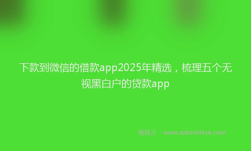 下款到微信的借款app2025年精选，梳理五个无视黑白户的贷款app