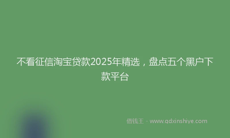 不看征信淘宝贷款2025年精选，盘点五个黑户下款平台