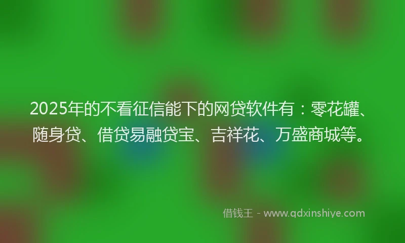 2025年的不看征信能下的网贷软件有：零花罐、随身贷、借贷易融贷宝、吉祥花、万盛商城等。